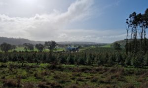 Rural Property with Action Steel sheds