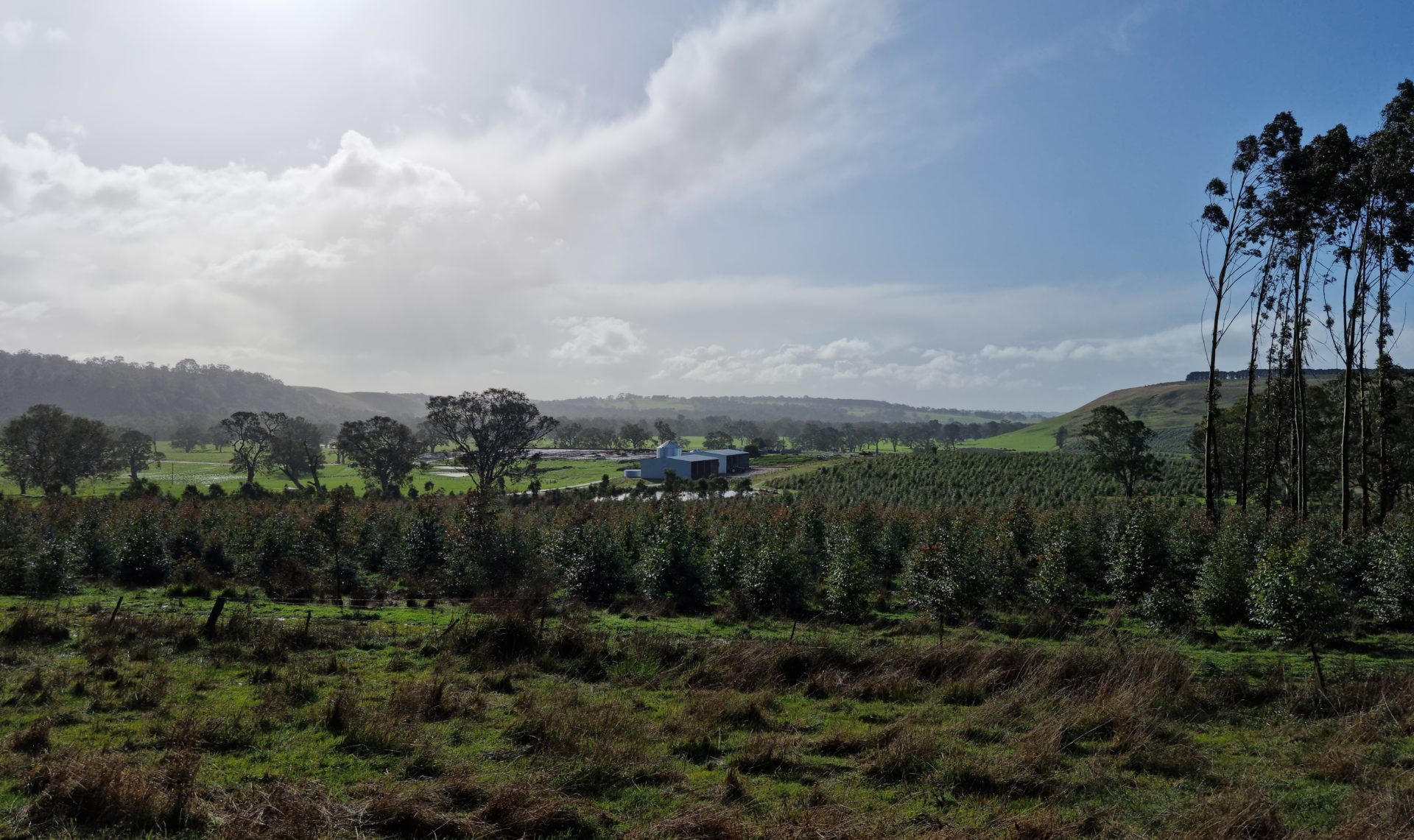 Rural Property with Action Steel sheds