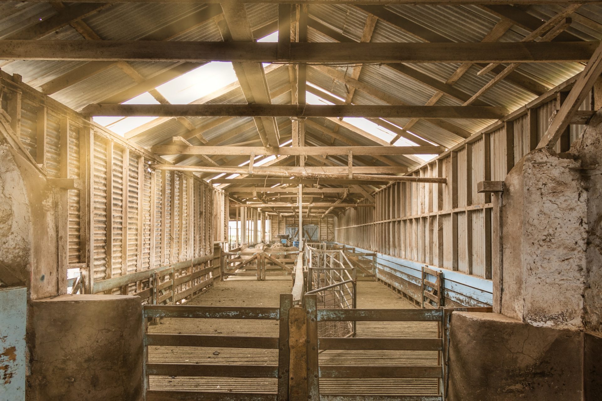 Wurrook-Shearing-Shed-10-21 (7 of 23) - sun