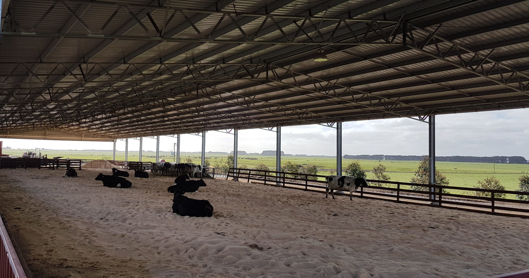 Calf Shelter shed