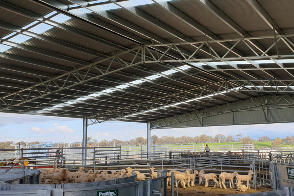 27 metre span yard cover