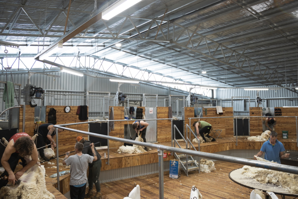 Wirrinourt shearing shed