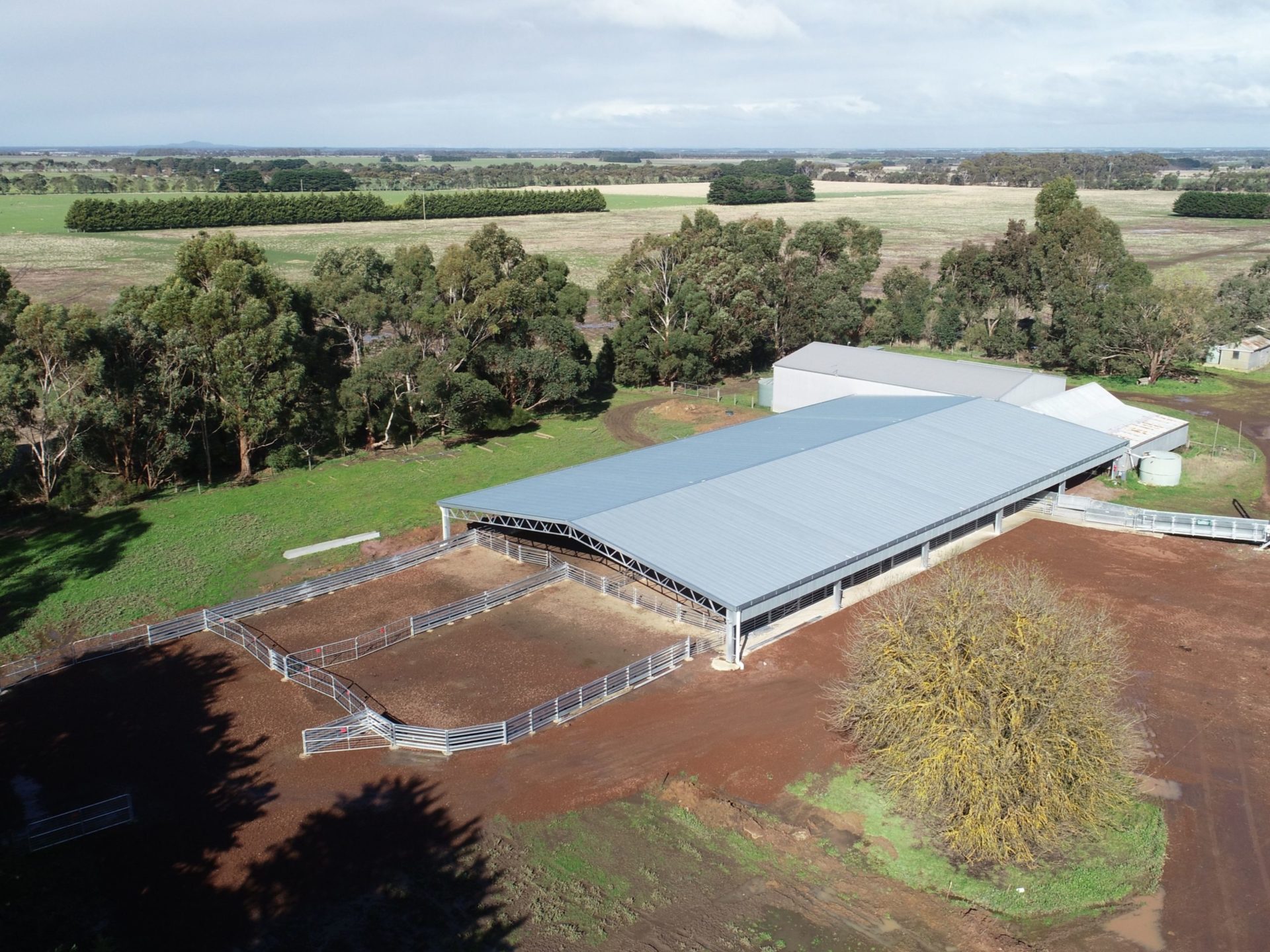 You are currently viewing A 45m x 24m x 3m sheep yard cover