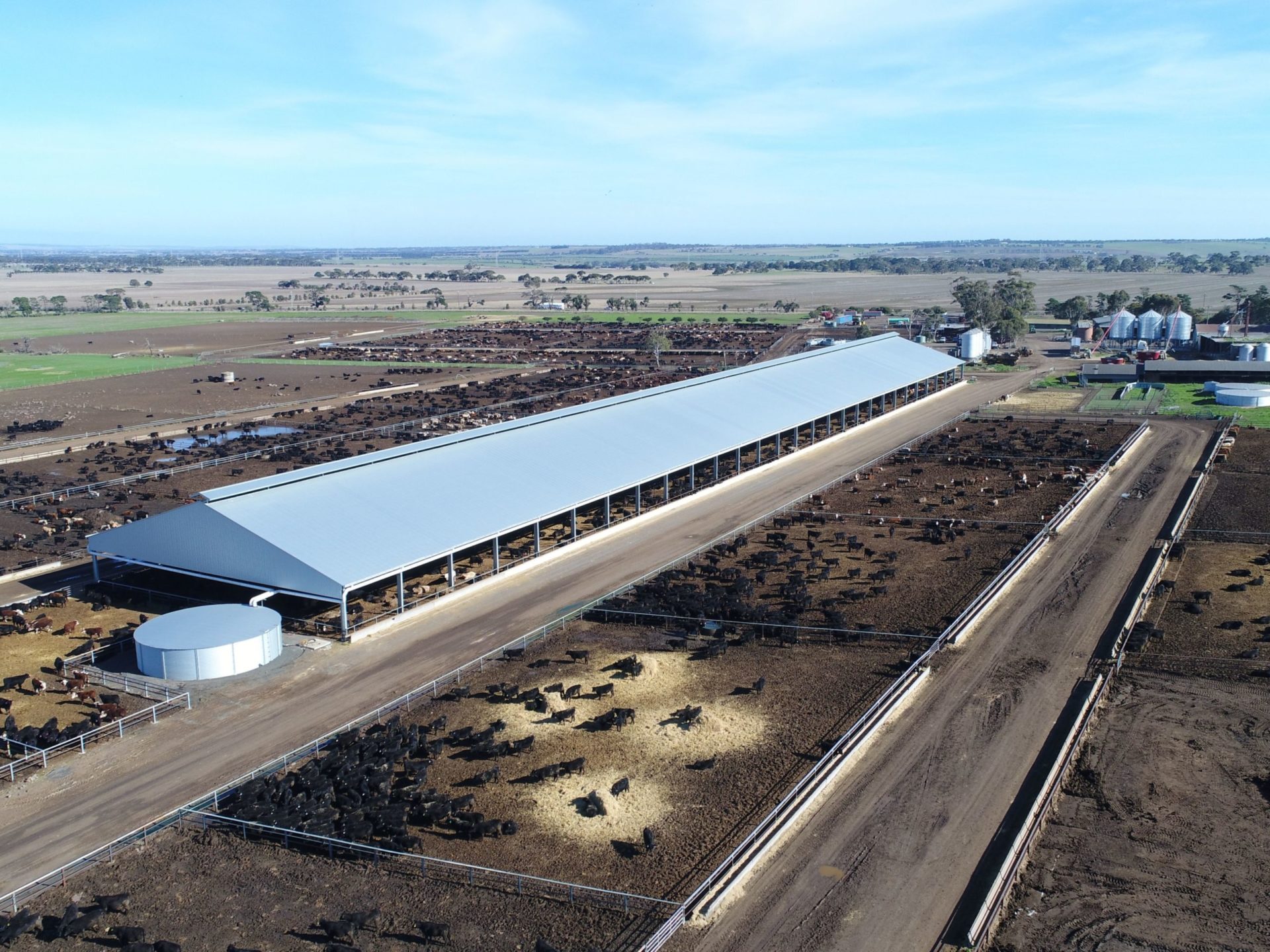 You are currently viewing 224m x 38m x 6m cattle feedlot cover