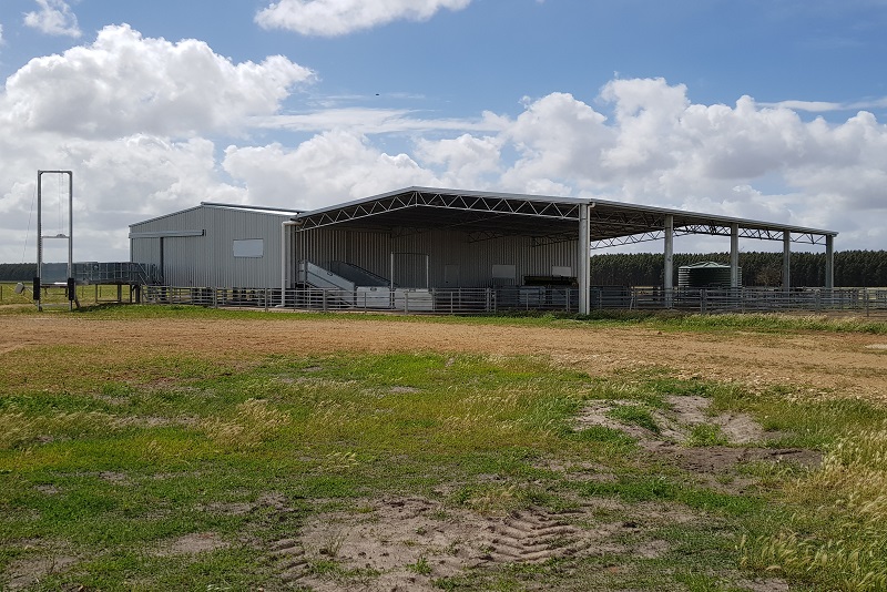 You are currently viewing 12m (W) x 24m x 4.2m (H) shearing shed with 15m span yard cover
