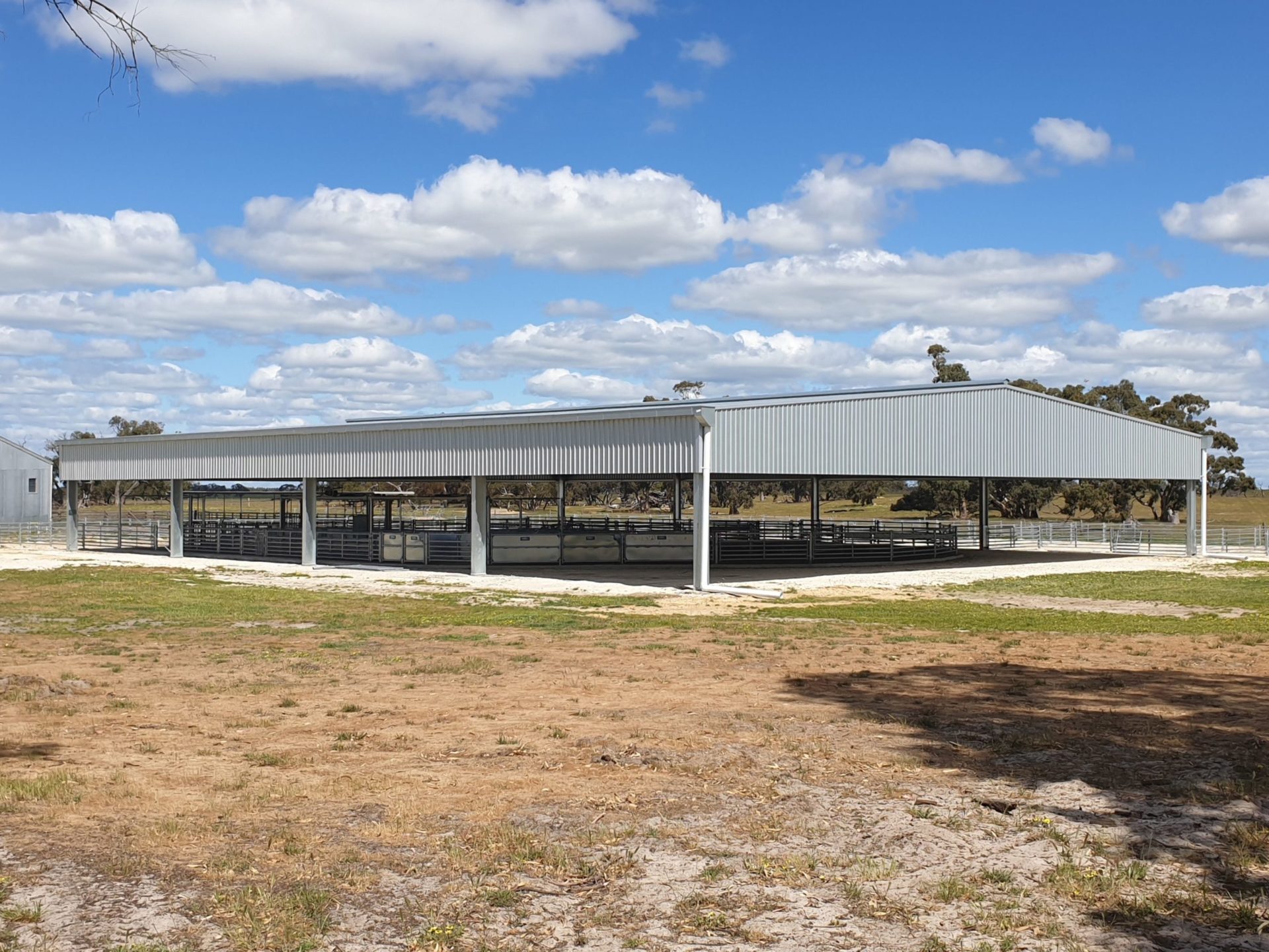 You are currently viewing A 36m x 28m x 4.5m sheep yard cover