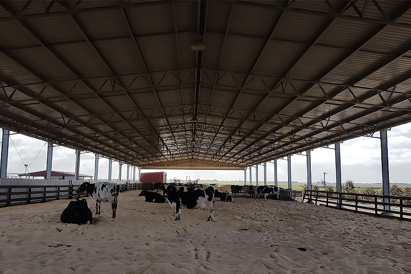 You are currently viewing 24m (W) x 82m (L) roof only calving shelter