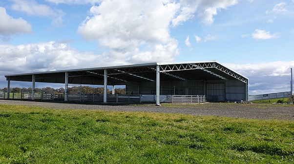 You are currently viewing A 38m x 27m sheep yard cover