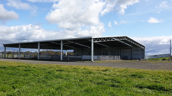 Read more about the article A 38m x 27m sheep yard cover