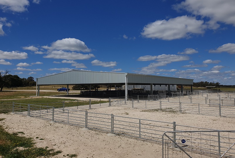 You are currently viewing 28m (W) x 36m (L) x 4.5m (H) sheep yard cover