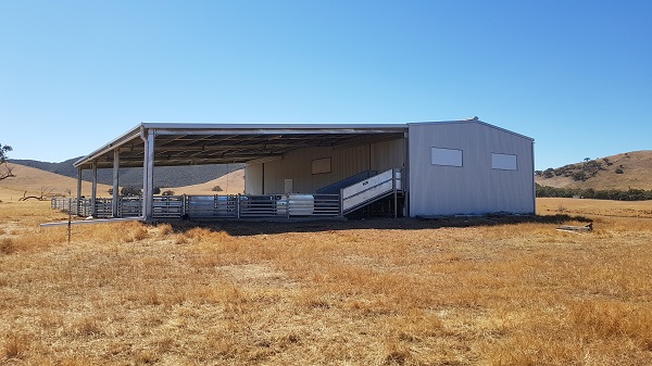 You are currently viewing An 18m x 21m shearing shed