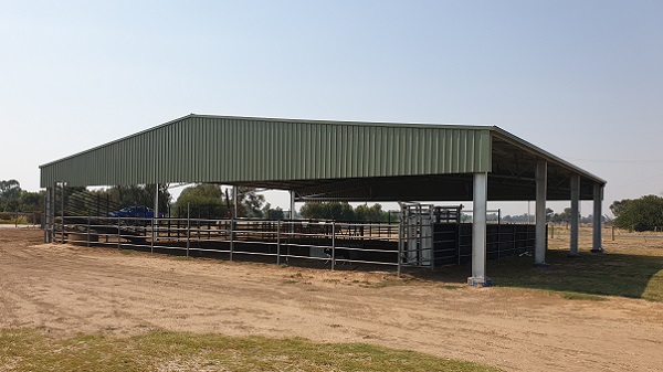 You are currently viewing A 19m x 22m cattle yard cover