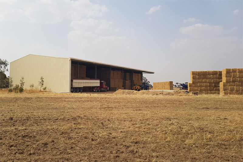You are currently viewing 24m (W) x 48m (L) x 7.5m (H) open front hay shed with 6m canopy