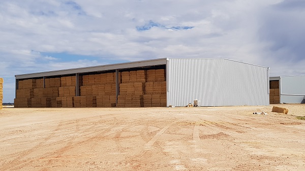 You are currently viewing A 64m x 36m hay shed