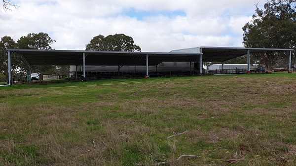 You are currently viewing A 43m x 21m sheep yard cover