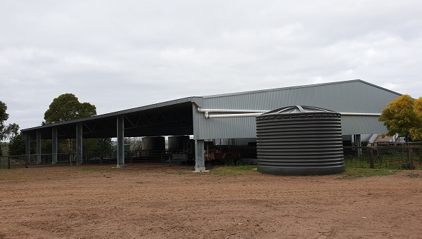 You are currently viewing A 37m x 28m sheep yard cover