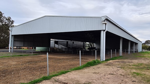 You are currently viewing A 54m x 18m sheep yard cover