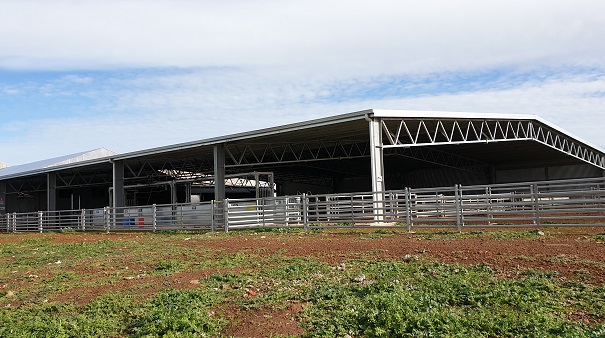 You are currently viewing A 32m x 28m sheep yard cover