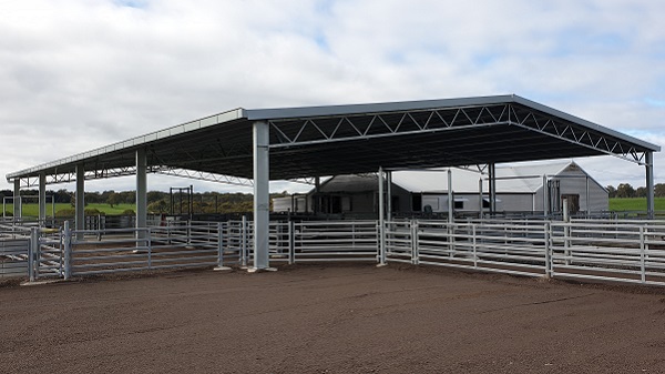 You are currently viewing A 32m x 18m sheep yard cover