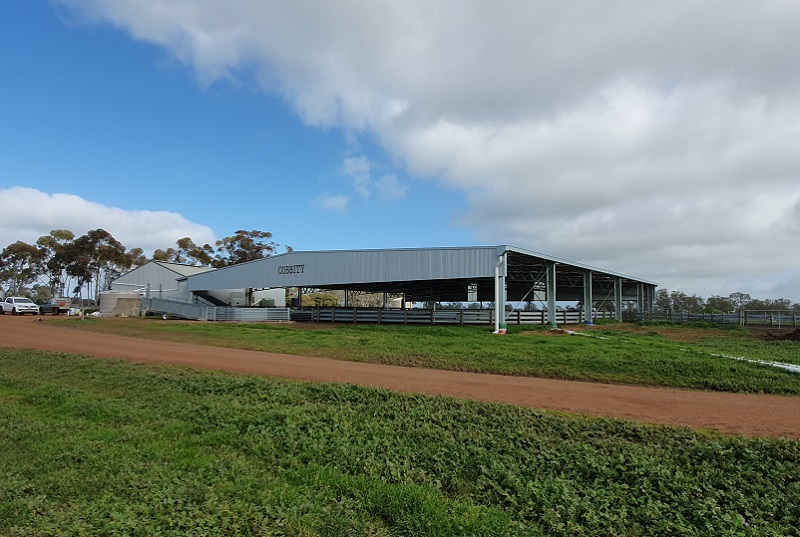 You are currently viewing 36m (W) x 36m (L) x 3.7m (H) sheep yard cover at ‘Cobbity’