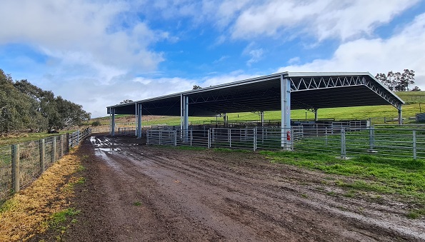You are currently viewing A 24m x 25.5m sheep yard cover