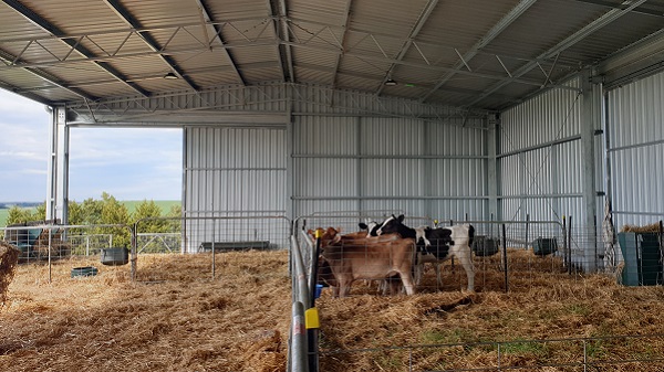 You are currently viewing An 18m x 12m calf shed