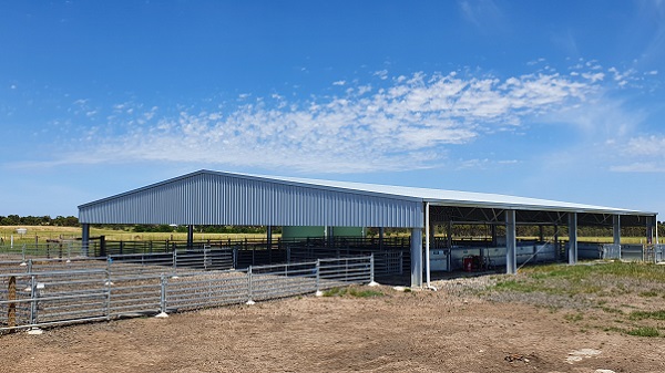 You are currently viewing A 30m x 24m sheep yard cover