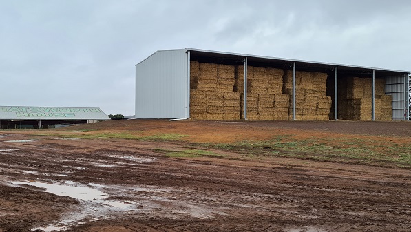 You are currently viewing A 40m x 15m hay shed