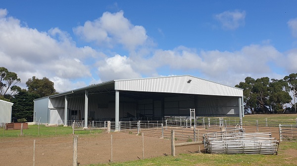 You are currently viewing A 37m x 18m shearing shed and yard cover