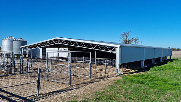 You are currently viewing A 37m x 21m sheep yard cover