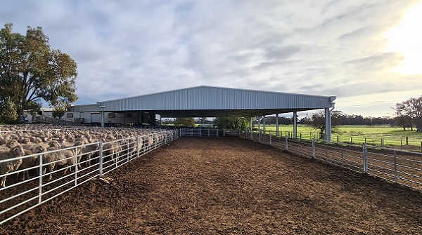 You are currently viewing A 39.4m x 27m sheep yard cover