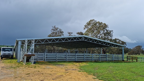 You are currently viewing A 32m x 24m cattle yard cover