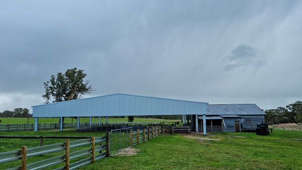 You are currently viewing A 40m x 24m sheep yard cover
