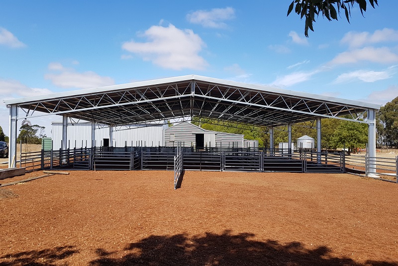 You are currently viewing 21m (W) x 22m (L) x 3.3m (H) sheep yard cover
