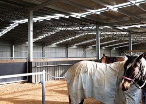 horse arena and equine sheds