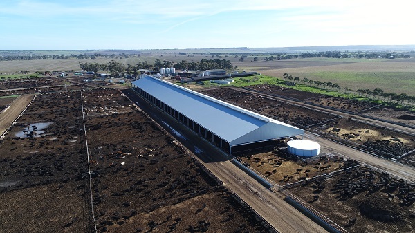 You are currently viewing A 224m long cattle feedlot cover