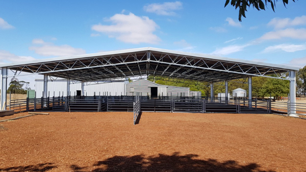 You are currently viewing A 22m x 21m sheep yard cover
