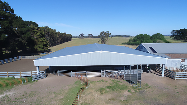 You are currently viewing A 26.5m x 21m cover over sheep yards