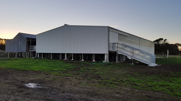 You are currently viewing A 27m x 15m shearing shed with fitout by ProWay