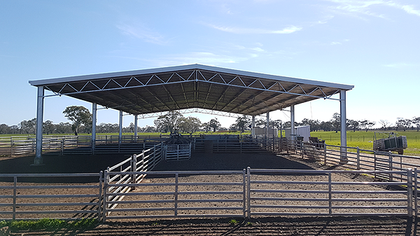 You are currently viewing A 27m x 16m sheep yard cover