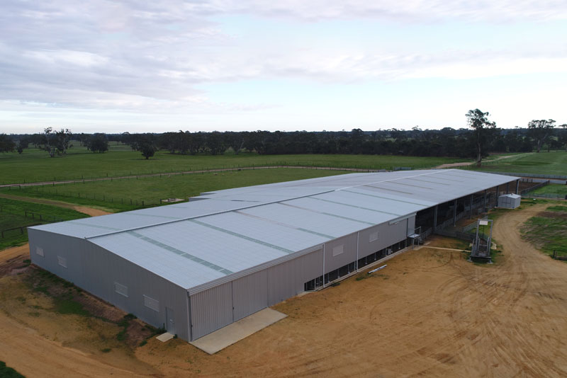 You are currently viewing 30m (W) x 46m (L) x 5m (H) shearing shed with ProWay fit out