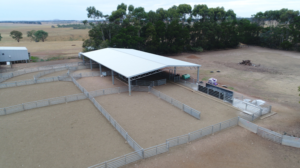 You are currently viewing A 30m x 15m sheep yard cover over ProWay yards