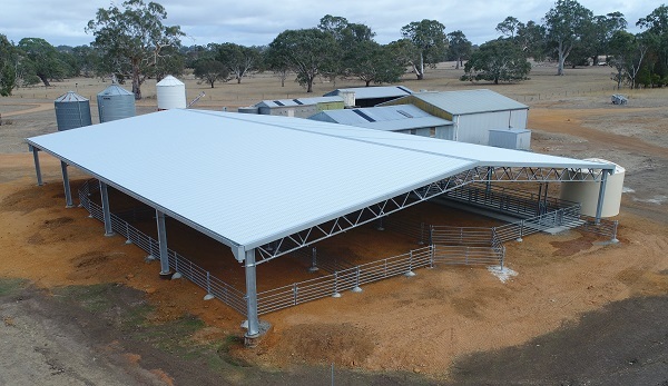 You are currently viewing A 32m x 24m sheep yard cover