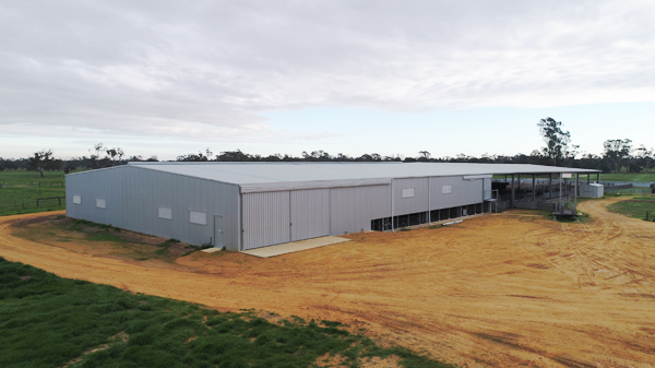 You are currently viewing A 46m x 30m shearing shed with existing undercover yards