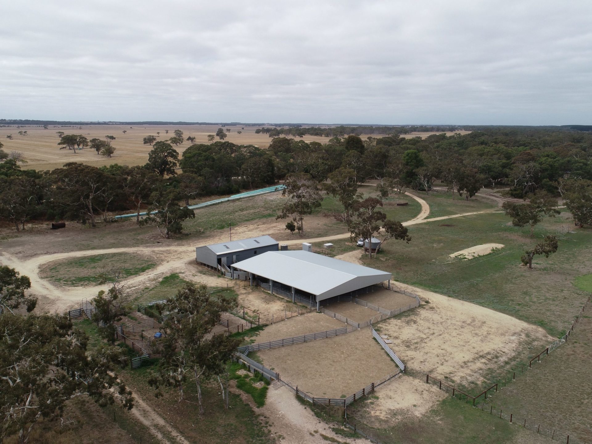 You are currently viewing 28m x 21m x 3m sheep yard cover