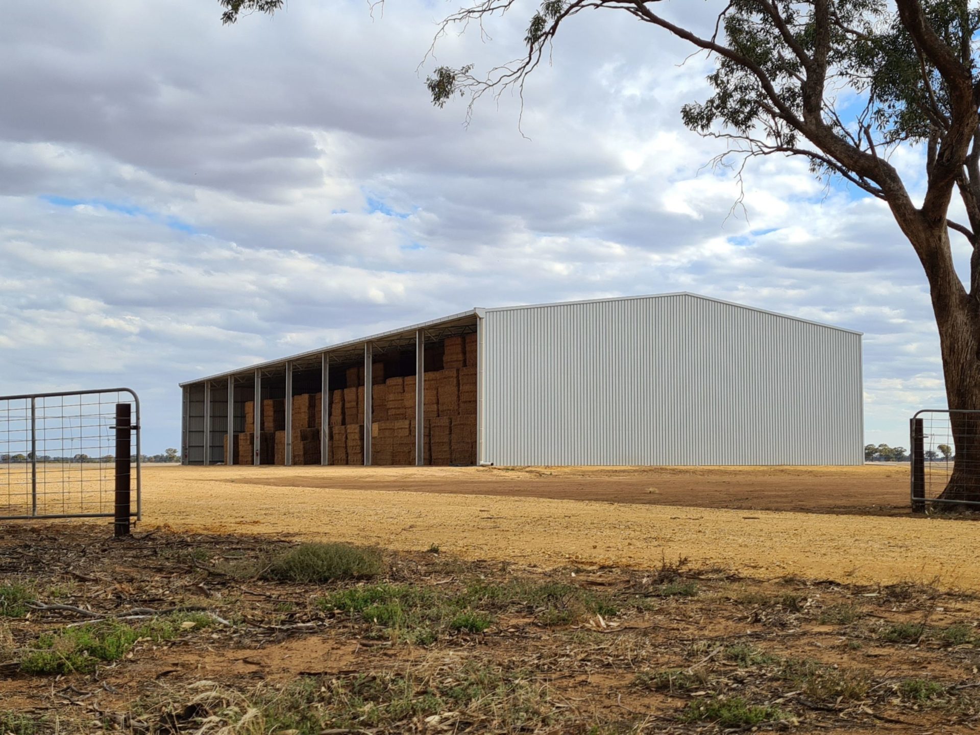 You are currently viewing A 64m x 24m x 7.5m open-front hay shed