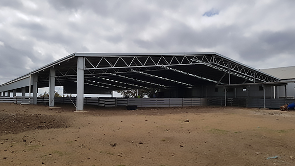 You are currently viewing A 52m x 32m sheep yard cover