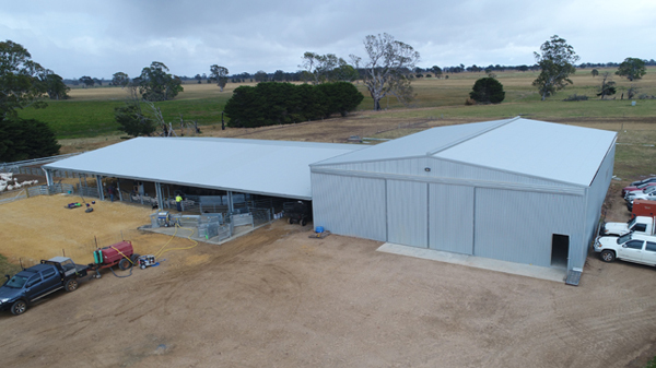 You are currently viewing A 54m x 24m shearing complex