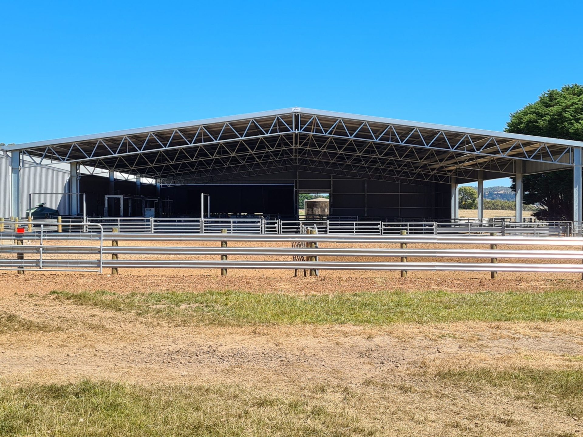 You are currently viewing A 36m x 21m x 4.2m sheep yard cover