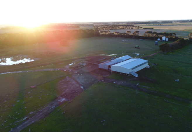 Shearing Shed and Dairy Fit-Outs